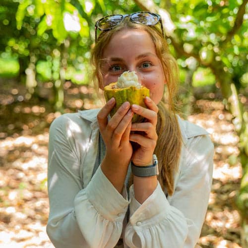 Cocoa Farm & Chocolate Making Experience (Ghana) 🍫🌿