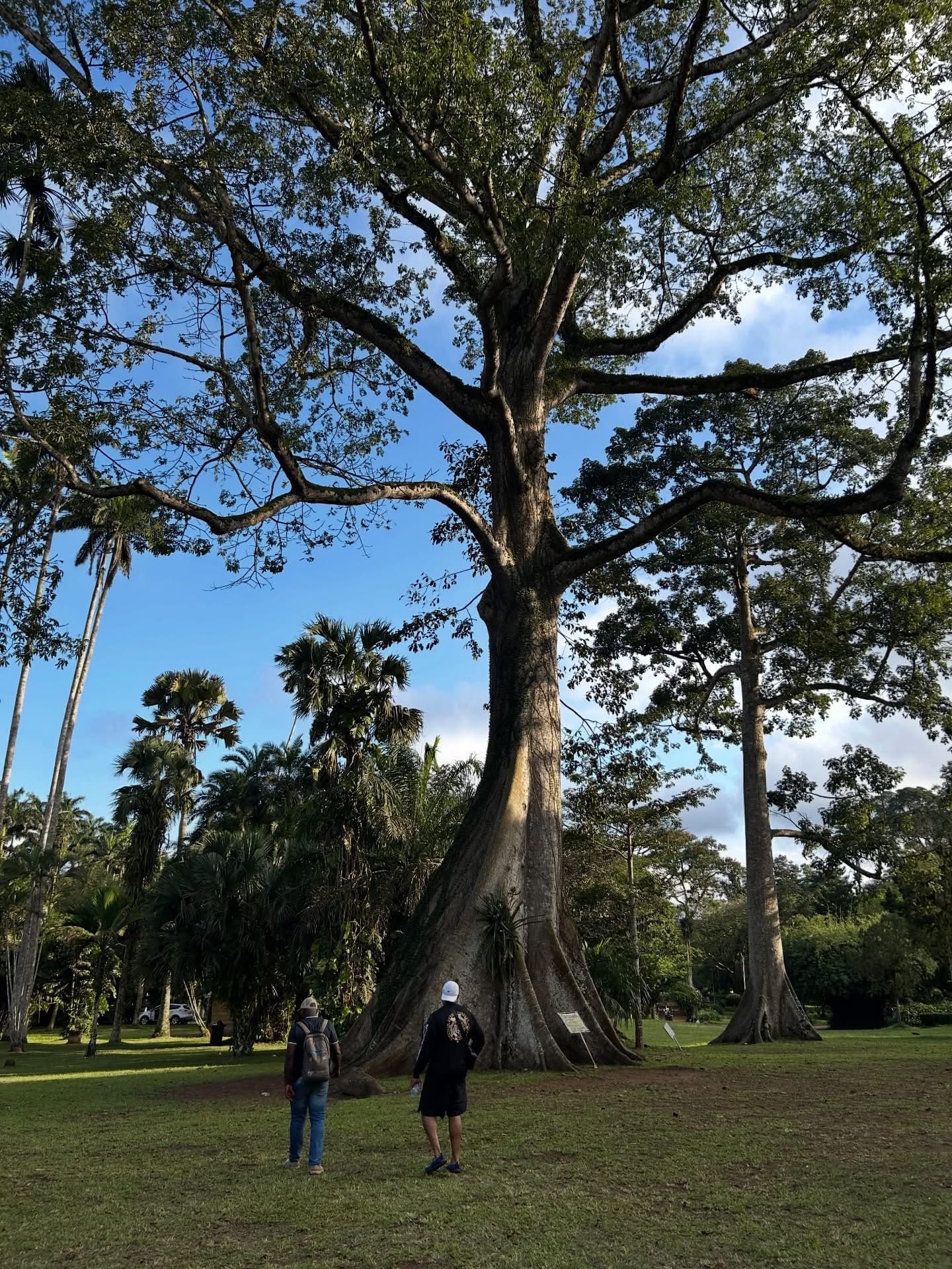 Aburi Botanical Gardens: Explore Nature, History, and Adventure Near Accra