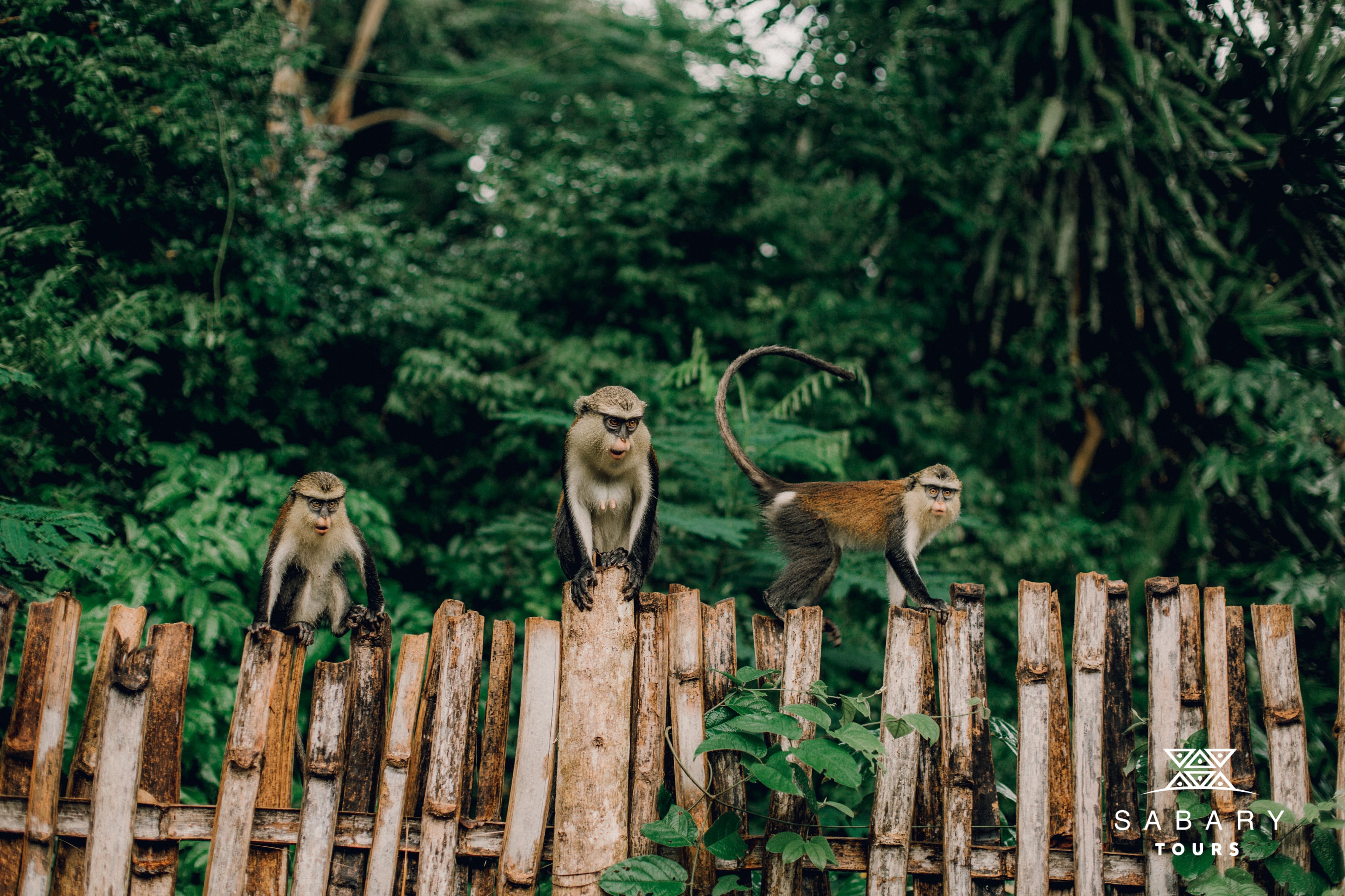 Ghana landscapes and experiences featured by Sabary Tours